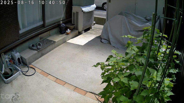 【PRレビュー】TP-Link Tapo C660 KIT