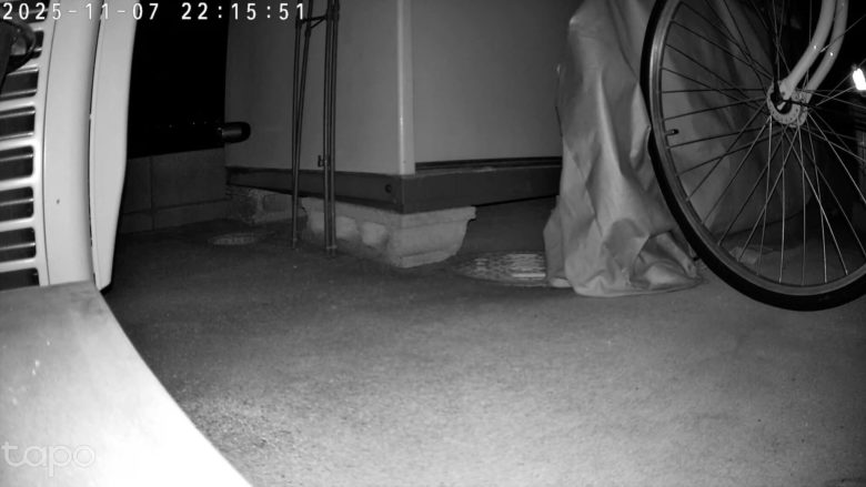 【PRレビュー】TP-Link Tapo C260