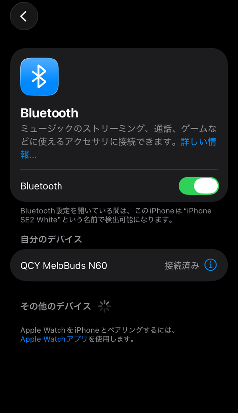 【PRレビュー】QCY MeloBuds N60 ワイヤレスイヤホン