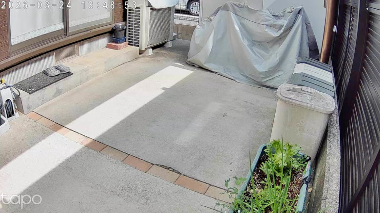 【PRレビュー】TP-Link Tapo C710